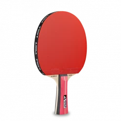 Der Kindergartenschläger